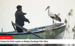 Türkiye’de Ünlü Leylek ve Balıkçı Dostluğu Film Oldu