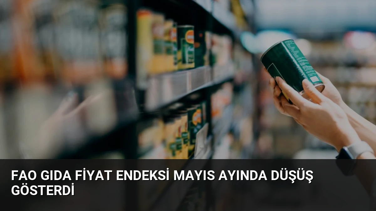 FAO Gıda Fiyat Endeksi Mayıs Ayında Düşüş Gösterdi
