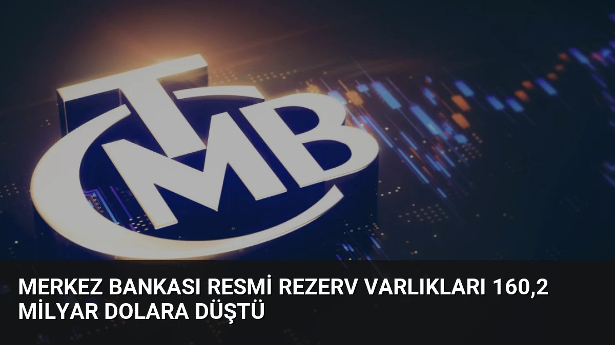 Merkez Bankası Resmi Rezerv Varlıkları 160,2 Milyar Dolara Düştü