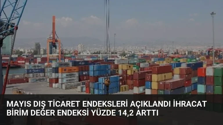 Mayıs Dış Ticaret Endeksleri Açıklandı İhracat Birim Değer Endeksi Yüzde 14,2 Arttı