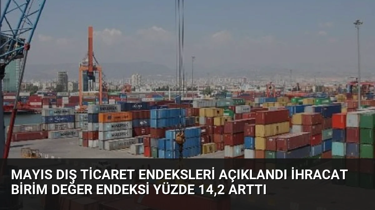 Mayıs Dış Ticaret Endeksleri Açıklandı İhracat Birim Değer Endeksi Yüzde 14,2 Arttı