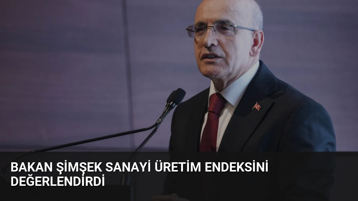 Bakan Şimşek Sanayi Üretim Endeksini Değerlendirdi