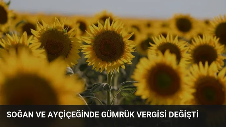 Soğan ve Ayçiçeğinde Gümrük Vergisi Değişti