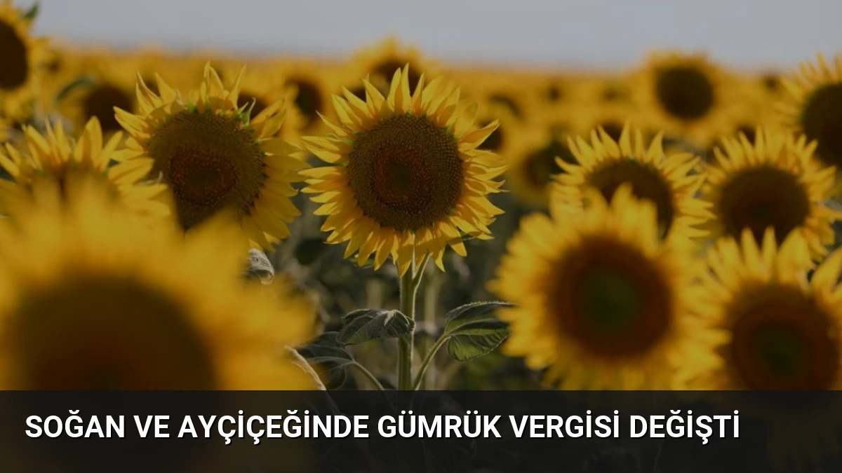 Soğan ve Ayçiçeğinde Gümrük Vergisi Değişti