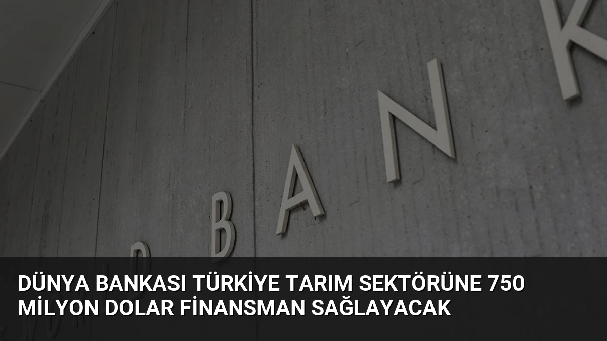 Dünya Bankası Türkiye Tarım Sektörüne 750 Milyon Dolar Finansman Sağlayacak