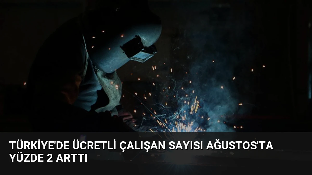 Türkiye’de Ücretli Çalışan Sayısı Ağustos’ta Yüzde 2 Arttı