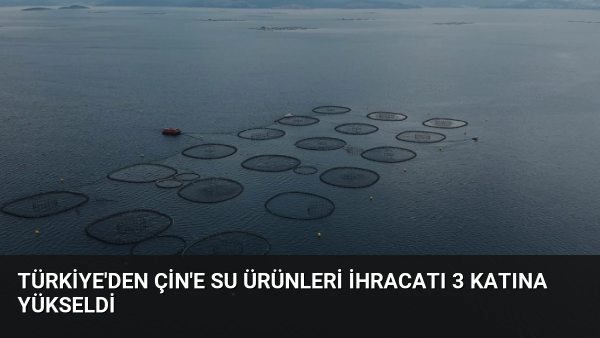 Türkiye’den Çin’e Su Ürünleri İhracatı 3 Katına Yükseldi